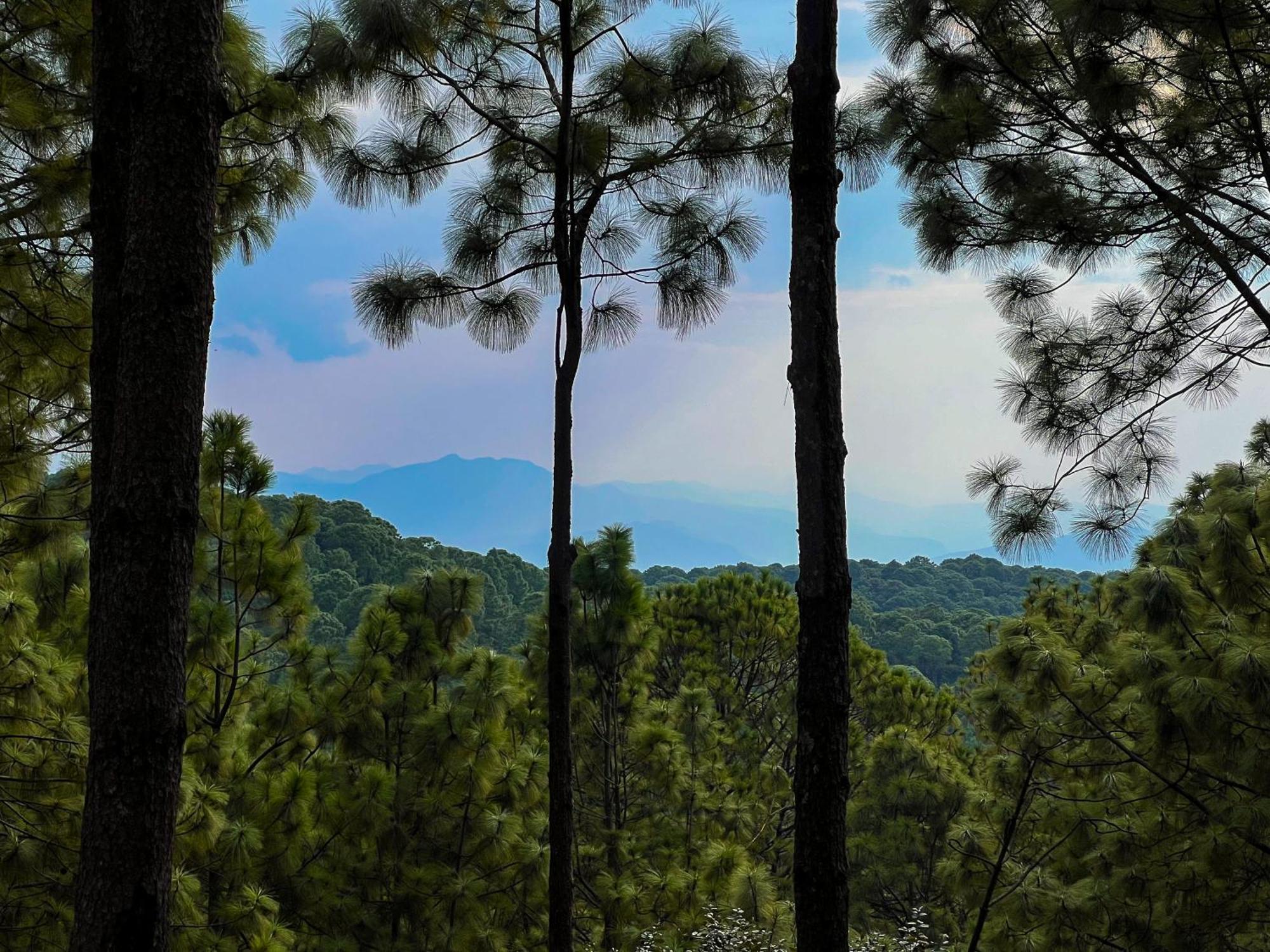 Tres Lunas Domo มาซามิตลา ภายนอก รูปภาพ